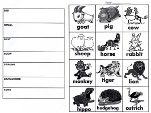 animal adjectives worksheet for beginner ESL