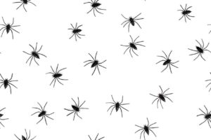 Spiders in a pattern on a white background